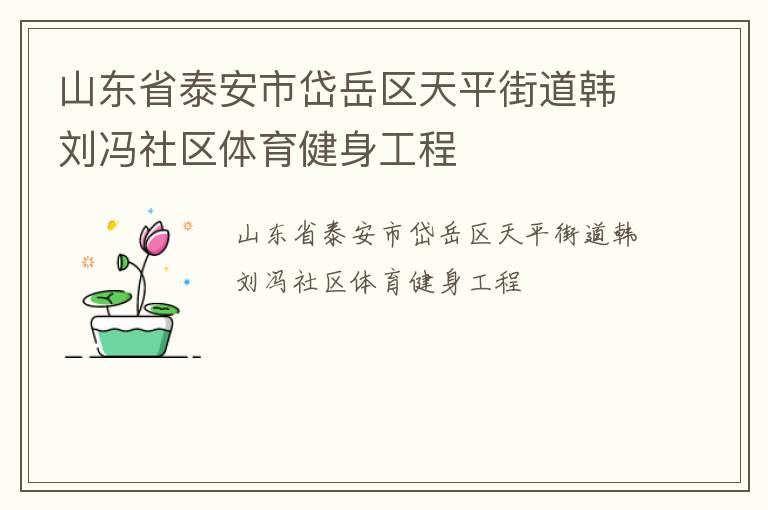 山东省泰安市岱岳区天平街道韩刘冯社区体育健身工程