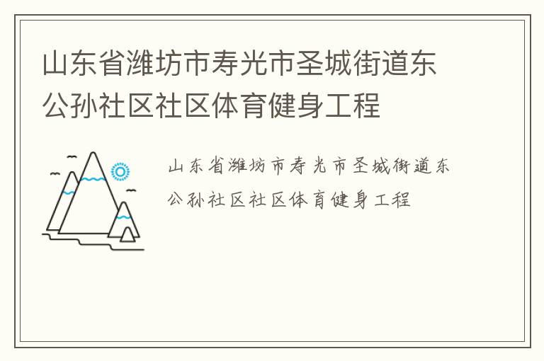 山东省潍坊市寿光市圣城街道东公孙社区社区体育健身工程