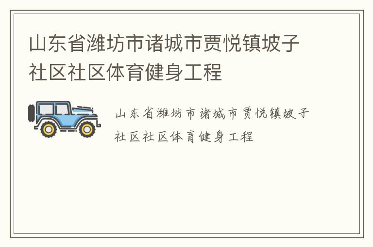 山东省潍坊市诸城市贾悦镇坡子社区社区体育健身工程