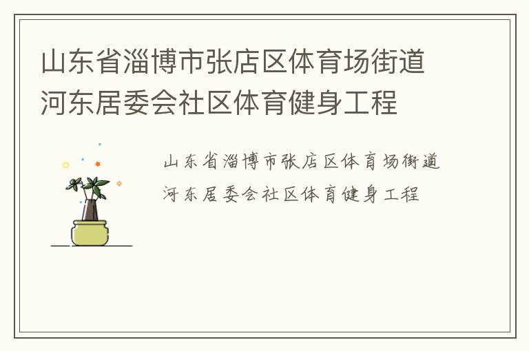 山东省淄博市张店区体育场街道河东居委会社区体育健身工程
