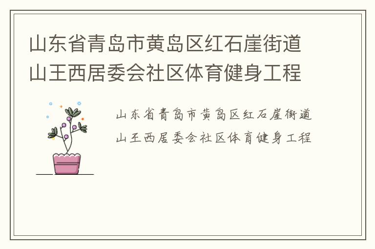 山东省青岛市黄岛区红石崖街道山王西居委会社区体育健身工程