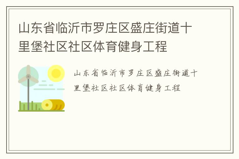 山东省临沂市罗庄区盛庄街道十里堡社区社区体育健身工程