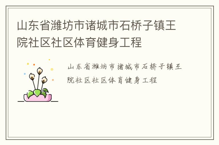 山东省潍坊市诸城市石桥子镇王院社区社区体育健身工程