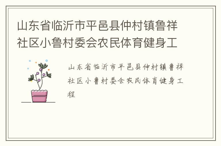 山东省临沂市平邑县仲村镇鲁祥社区小鲁村委会农民体育健身工程