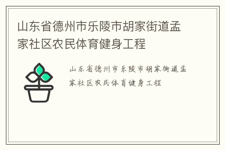山东省德州市乐陵市胡家街道孟家社区农民体育健身工程