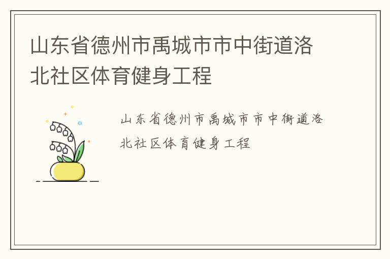 山东省德州市禹城市市中街道洛北社区体育健身工程