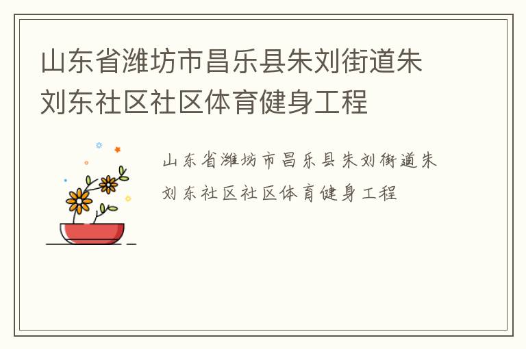 山东省潍坊市昌乐县朱刘街道朱刘东社区社区体育健身工程