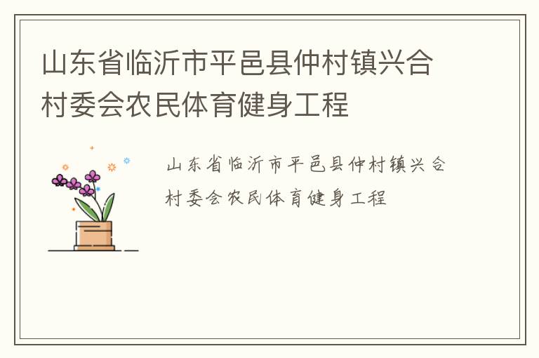 山东省临沂市平邑县仲村镇兴合村委会农民体育健身工程