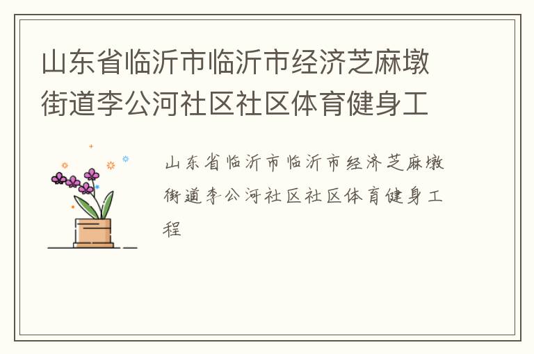 山东省临沂市临沂市经济芝麻墩街道李公河社区社区体育健身工程