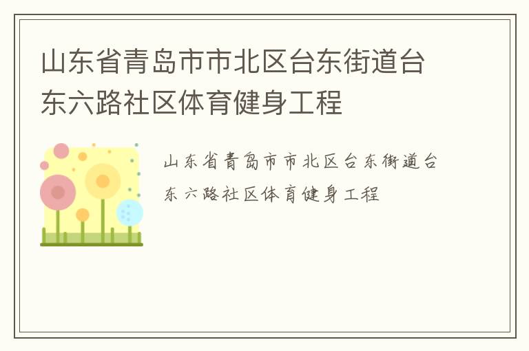 山东省青岛市市北区台东街道台东六路社区体育健身工程