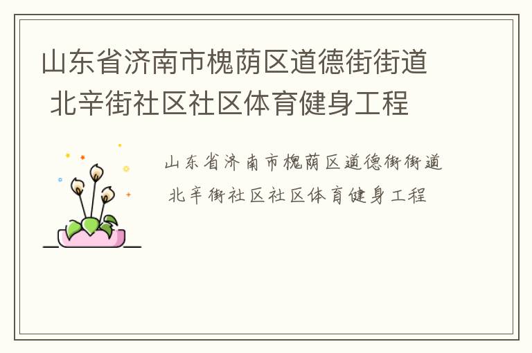 山东省济南市槐荫区道德街街道 北辛街社区社区体育健身工程