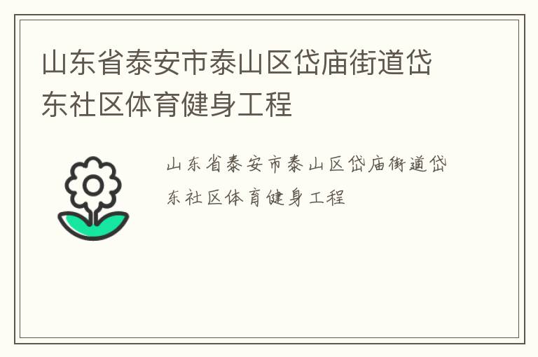 山东省泰安市泰山区岱庙街道岱东社区体育健身工程