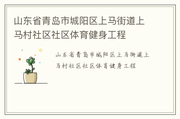 山东省青岛市城阳区上马街道上马村社区社区体育健身工程