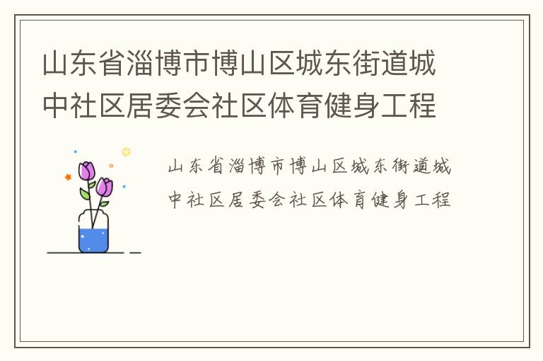 山东省淄博市博山区城东街道城中社区居委会社区体育健身工程
