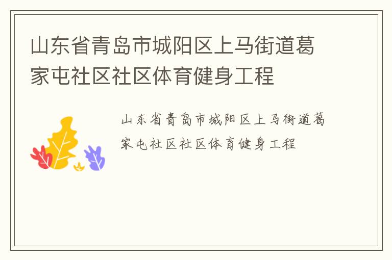 山东省青岛市城阳区上马街道葛家屯社区社区体育健身工程