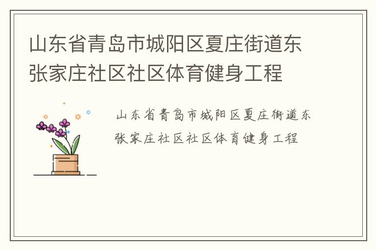 山东省青岛市城阳区夏庄街道东张家庄社区社区体育健身工程