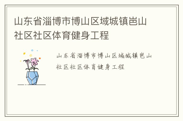 山东省淄博市博山区域城镇岜山社区社区体育健身工程
