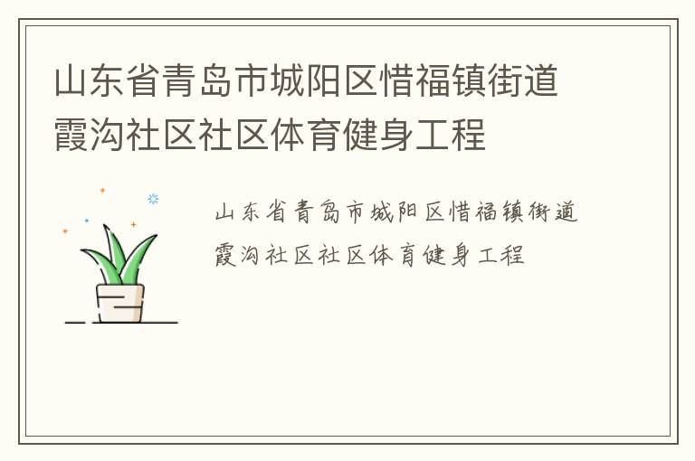 山东省青岛市城阳区惜福镇街道霞沟社区社区体育健身工程
