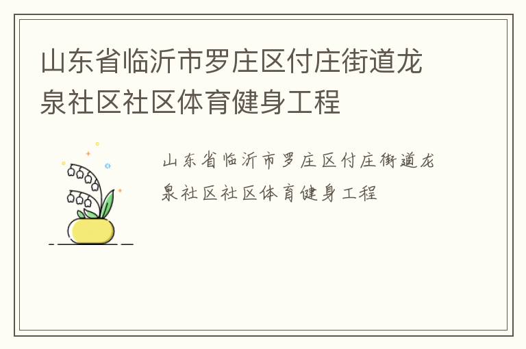 山东省临沂市罗庄区付庄街道龙泉社区社区体育健身工程
