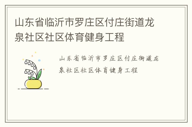 山东省临沂市罗庄区付庄街道龙泉社区社区体育健身工程