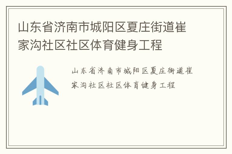 山东省济南市城阳区夏庄街道崔家沟社区社区体育健身工程