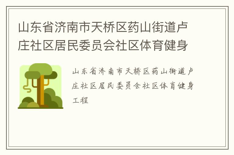山东省济南市天桥区药山街道卢庄社区居民委员会社区体育健身工程