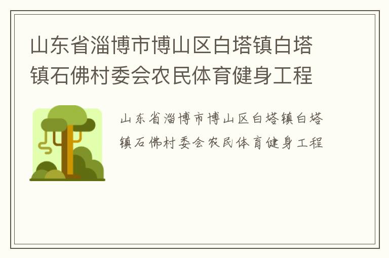 山东省淄博市博山区白塔镇白塔镇石佛村委会农民体育健身工程