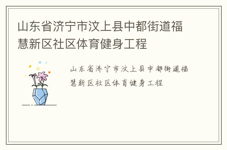 山东省济宁市汶上县中都街道福慧新区社区体育健身工程