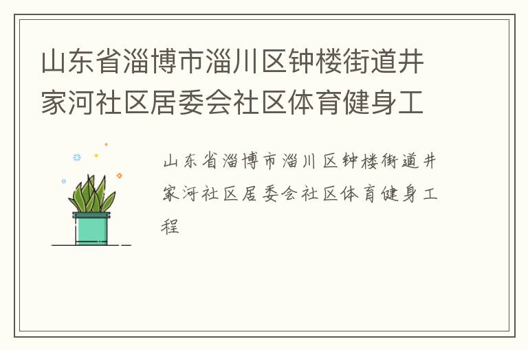 山东省淄博市淄川区钟楼街道井家河社区居委会社区体育健身工程