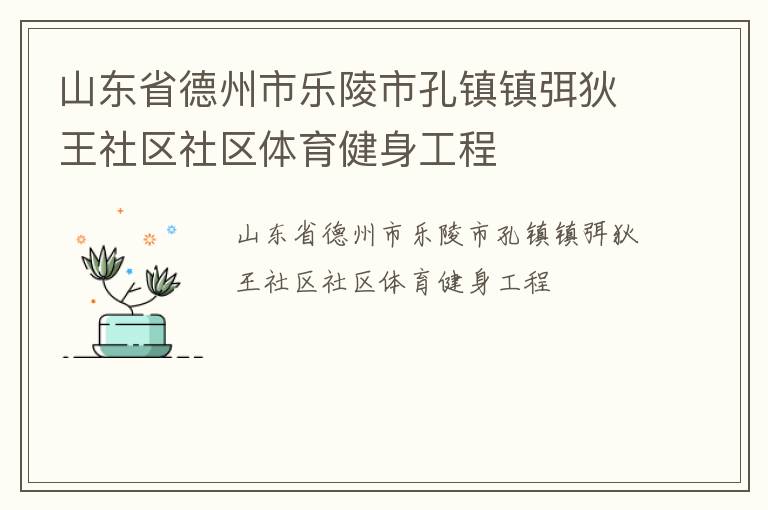 山东省德州市乐陵市孔镇镇弭狄王社区社区体育健身工程