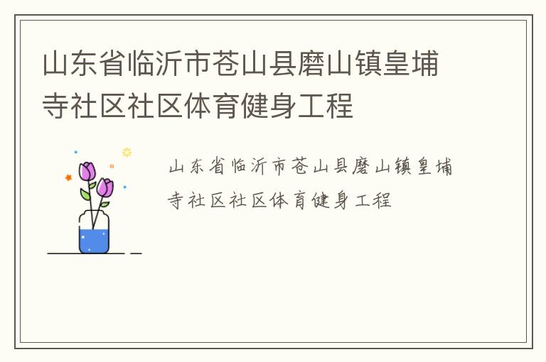 山东省临沂市苍山县磨山镇皇埔寺社区社区体育健身工程