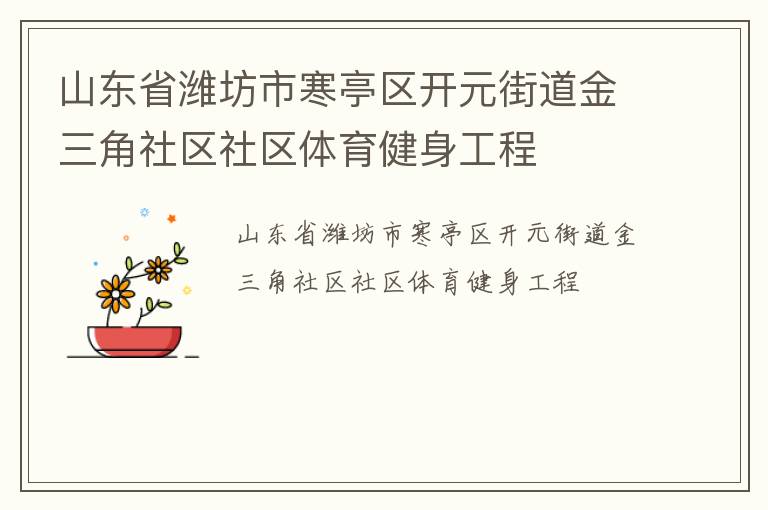 山东省潍坊市寒亭区开元街道金三角社区社区体育健身工程