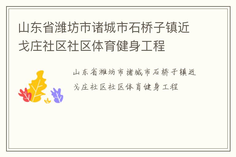 山东省潍坊市诸城市石桥子镇近戈庄社区社区体育健身工程