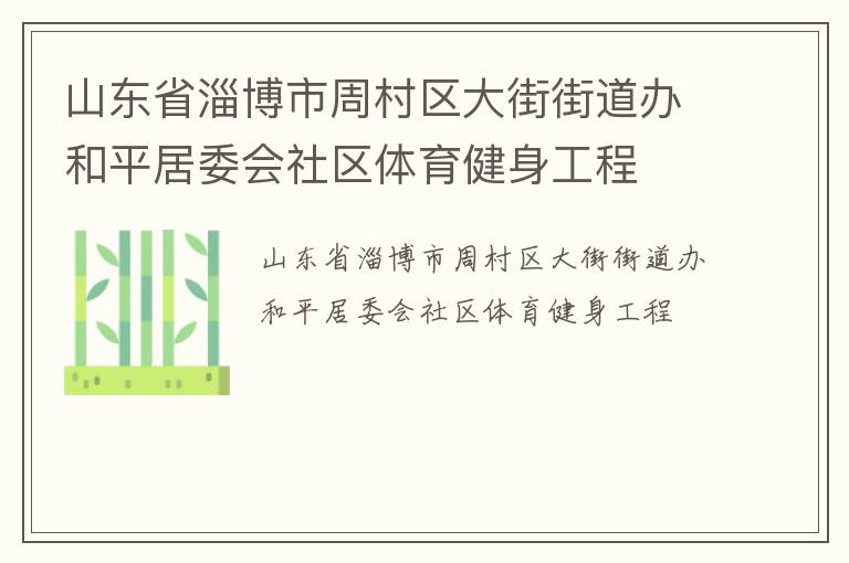 山东省淄博市周村区大街街道办和平居委会社区体育健身工程