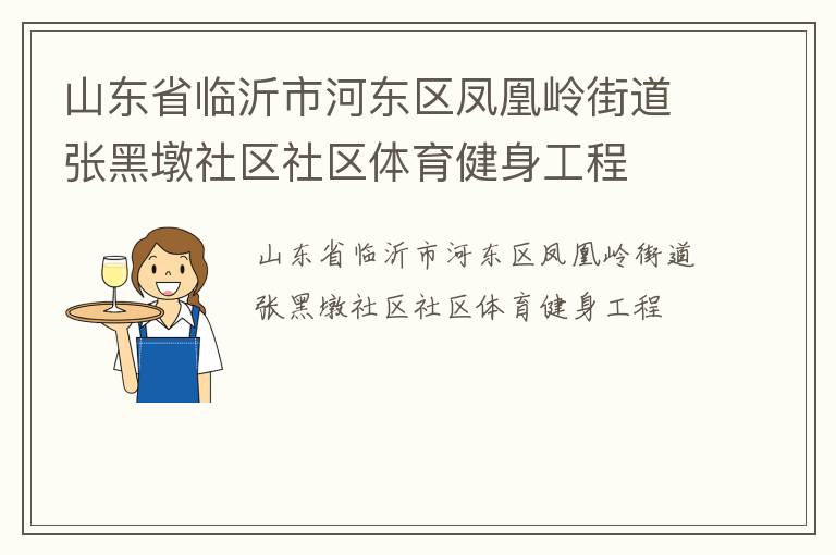 山东省临沂市河东区凤凰岭街道张黑墩社区社区体育健身工程