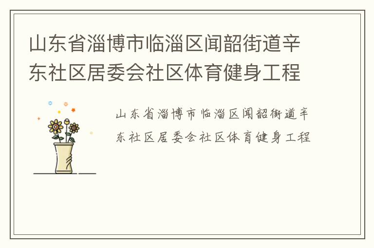 山东省淄博市临淄区闻韶街道辛东社区居委会社区体育健身工程