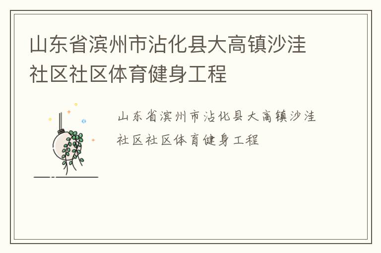 山东省滨州市沾化县大高镇沙洼社区社区体育健身工程