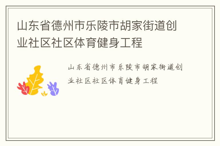 山东省德州市乐陵市胡家街道创业社区社区体育健身工程