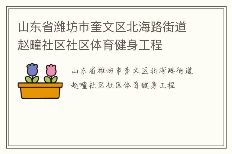 山东省潍坊市奎文区北海路街道赵疃社区社区体育健身工程