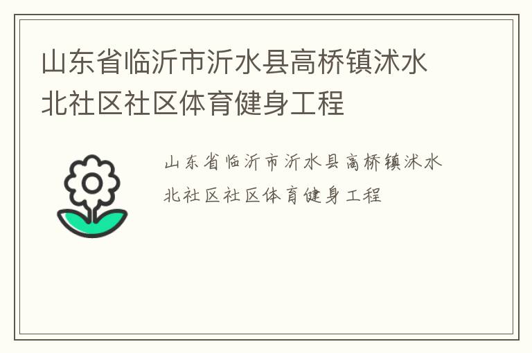 山东省临沂市沂水县高桥镇沭水北社区社区体育健身工程