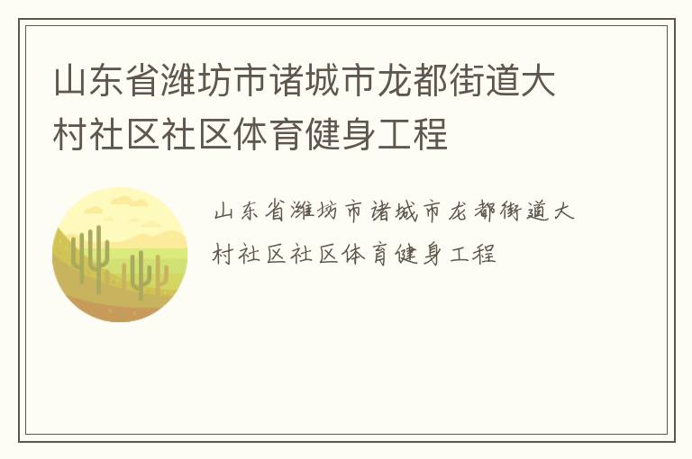 山东省潍坊市诸城市龙都街道大村社区社区体育健身工程