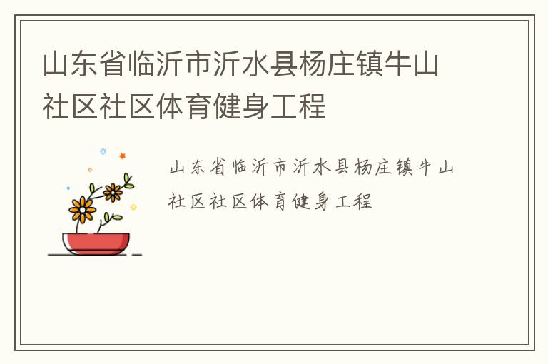山东省临沂市沂水县杨庄镇牛山社区社区体育健身工程