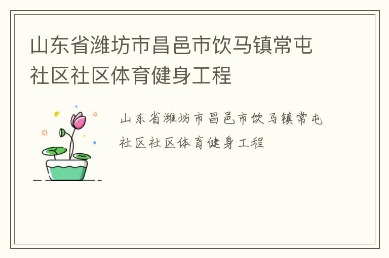 山东省潍坊市昌邑市饮马镇常屯社区社区体育健身工程