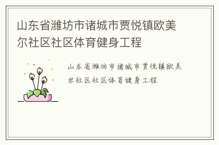 山东省潍坊市诸城市贾悦镇欧美尔社区社区体育健身工程