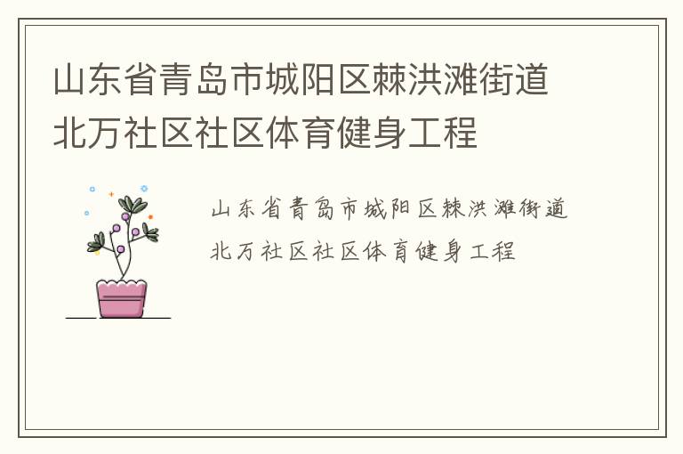 山东省青岛市城阳区棘洪滩街道北万社区社区体育健身工程