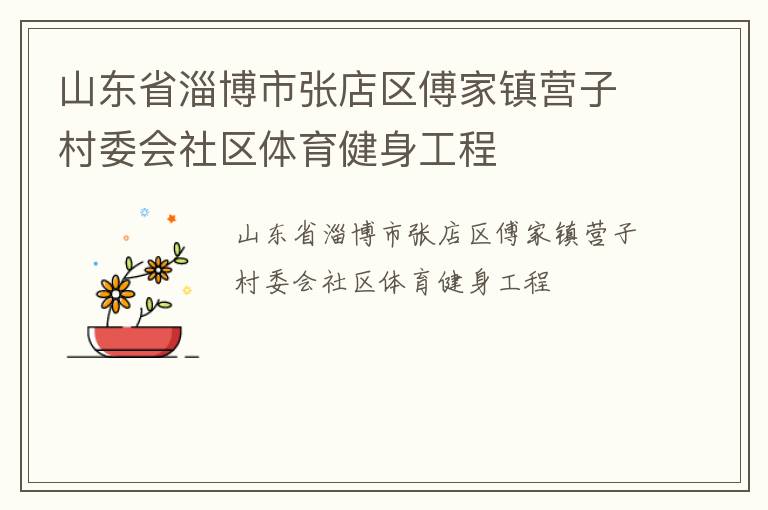 山东省淄博市张店区傅家镇营子村委会社区体育健身工程