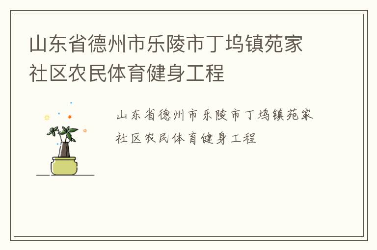 山东省德州市乐陵市丁坞镇苑家社区农民体育健身工程