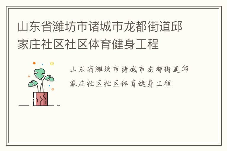 山东省潍坊市诸城市龙都街道邱家庄社区社区体育健身工程