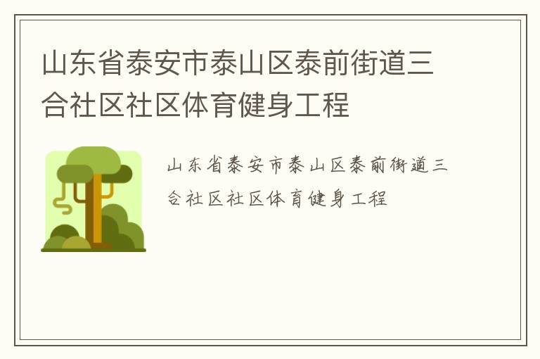山东省泰安市泰山区泰前街道三合社区社区体育健身工程