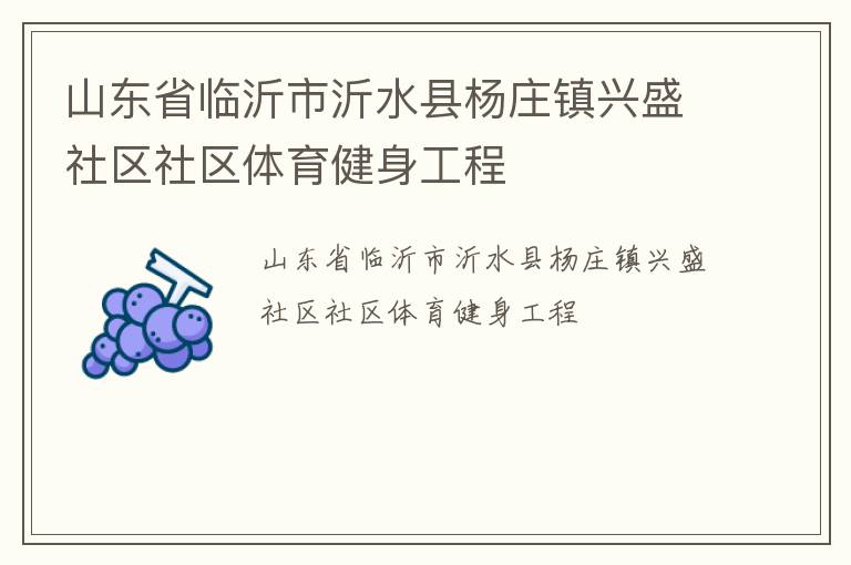 山东省临沂市沂水县杨庄镇兴盛社区社区体育健身工程
